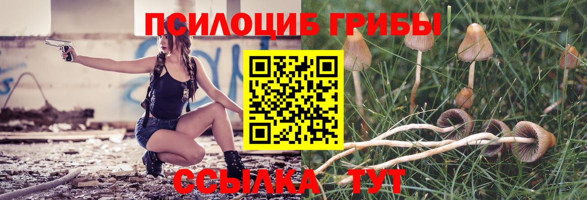 Псилоцибиновые грибы GOLDEN TEACHER Элиста